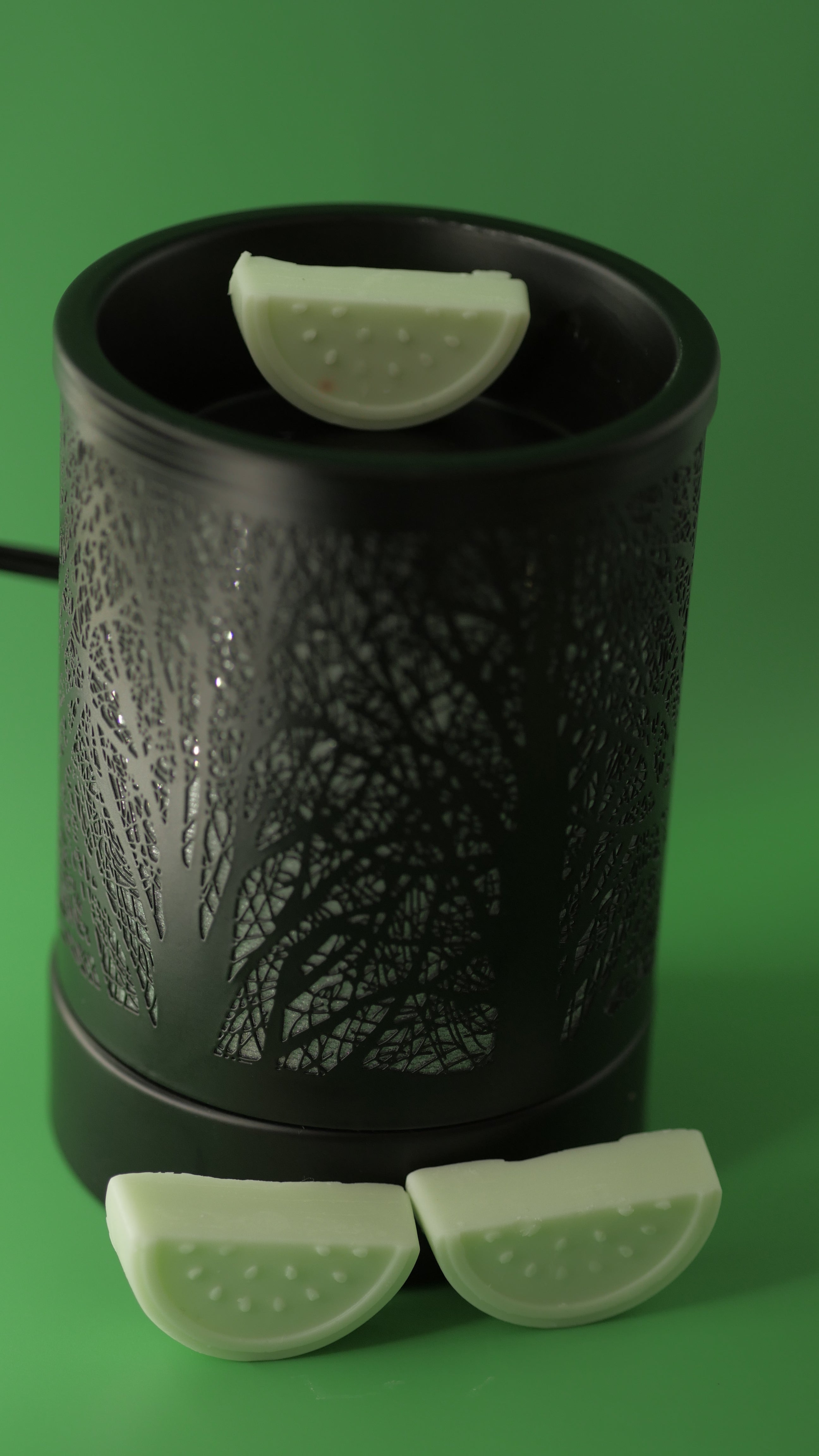 Melon Breeze (Wax Melt)