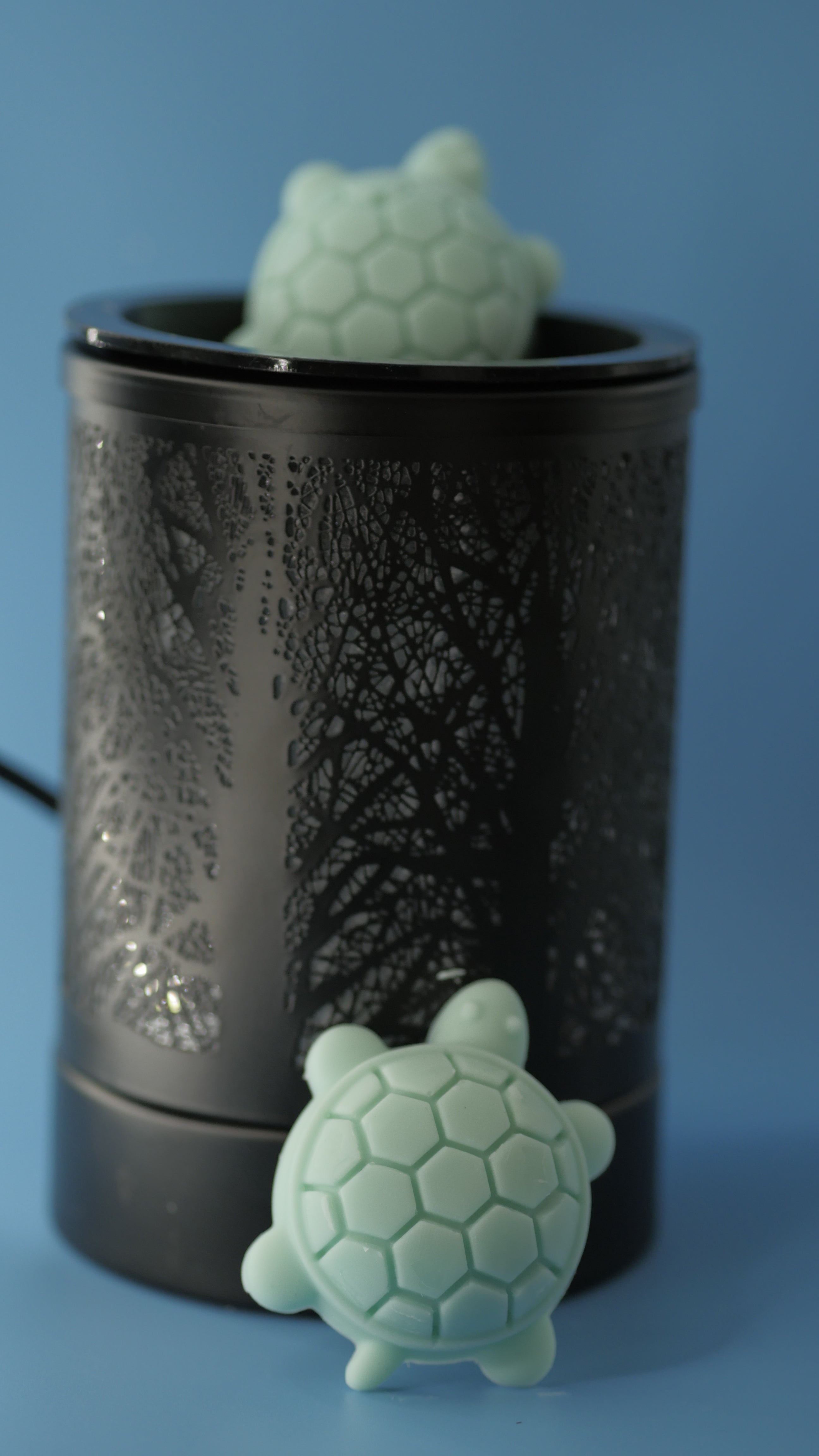 Ocean Mist (Wax Melt)