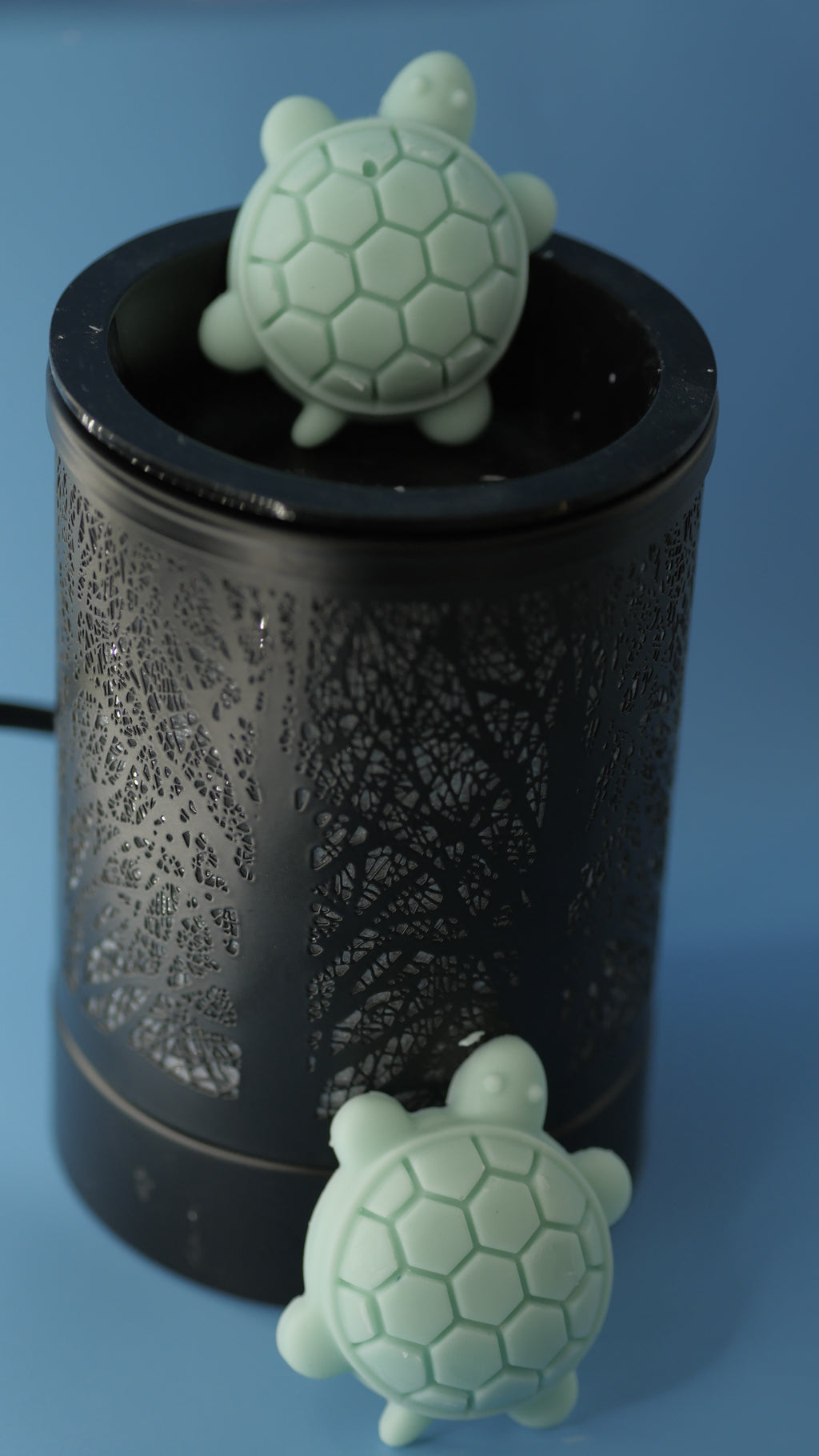 Ocean Mist (Wax Melt)