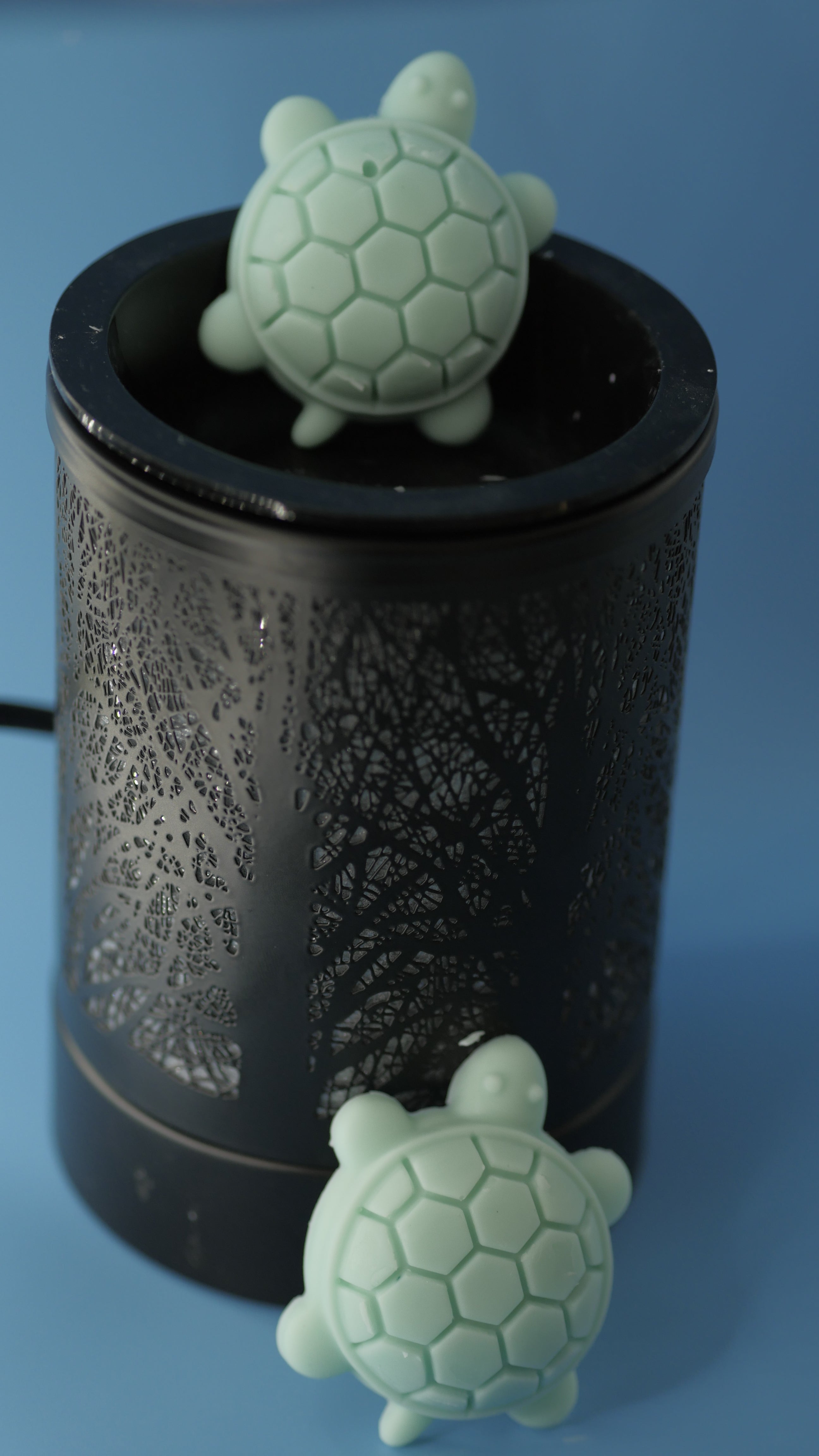 Ocean Mist (Wax Melt)